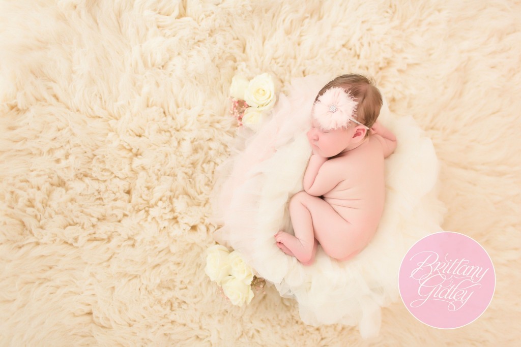 Cleveland Newborn Photographer | Baby Photography | Newborn Posing
