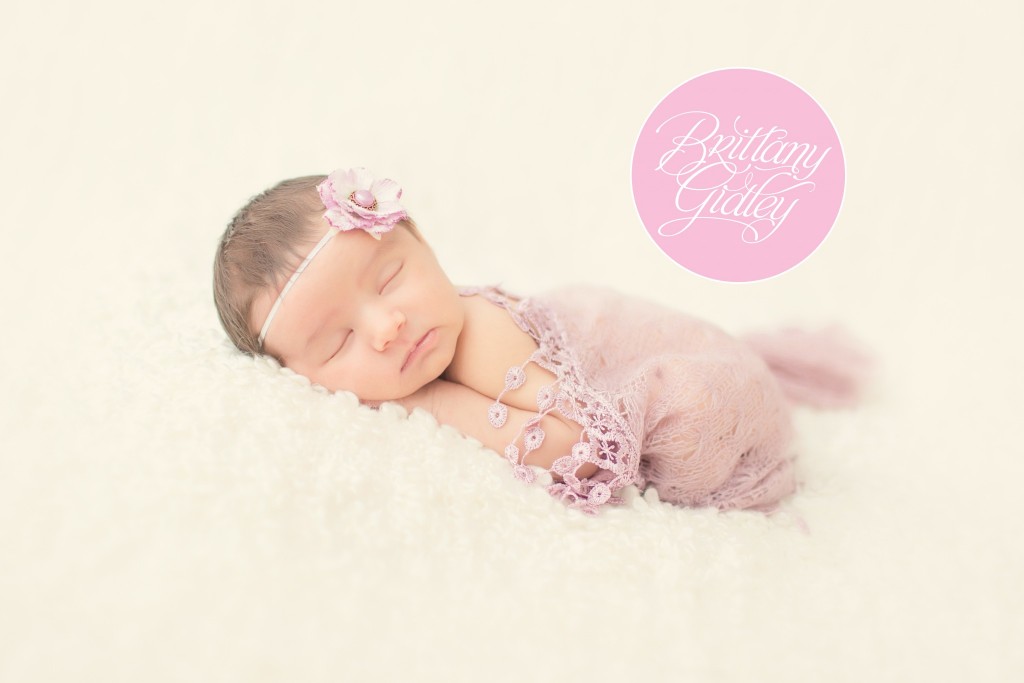 Lavender | Newborn | Brittany Gidley Photography LLC | Start With The Best