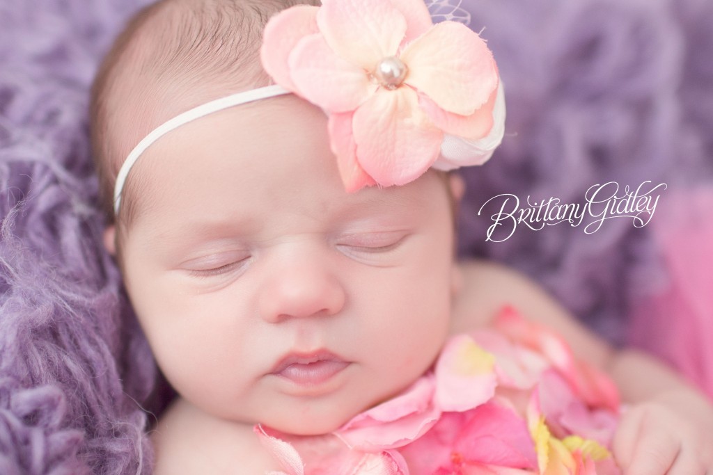 Newborn Portraits | Newborn Photographer | Cleveland Ohio