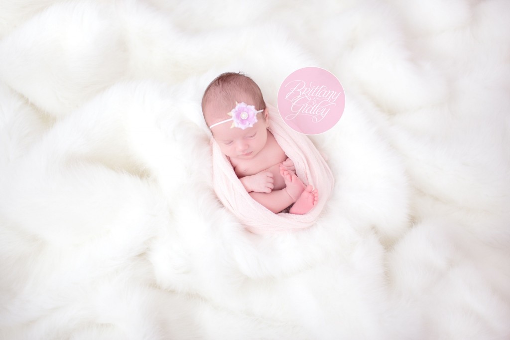 Newborn Portraits | Newborn Photographer | Cleveland Ohio