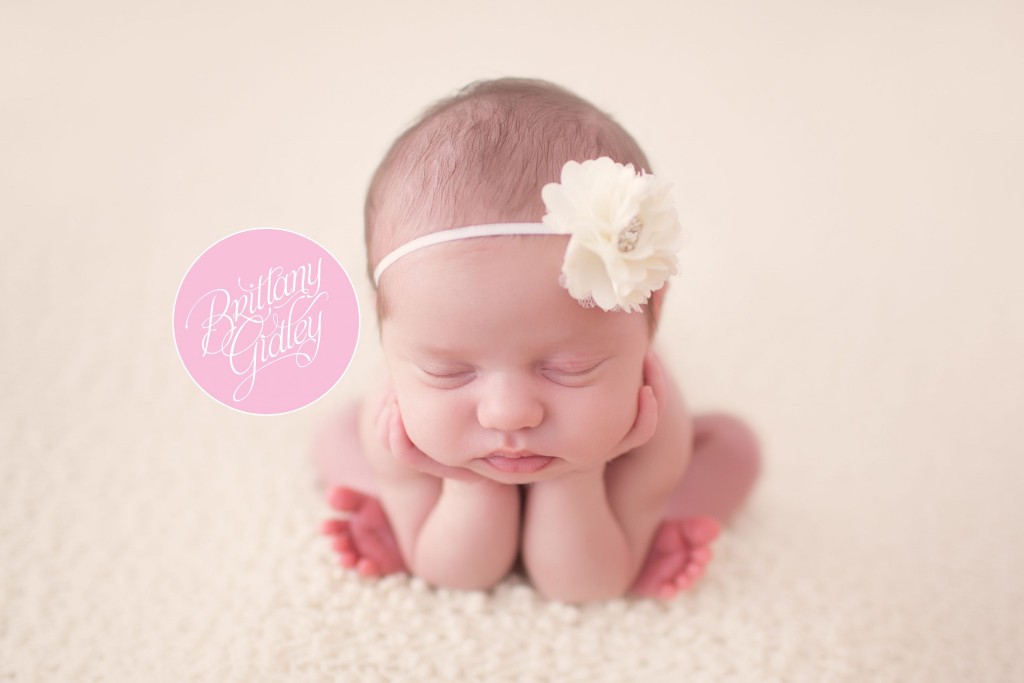Newborn Portrait Photographer | Newborn Photographer | Cleveland Ohio