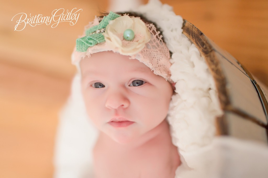 Baby Girl | Newborn Portrait | Baby Pictures | Newborn Posing Inspiration
