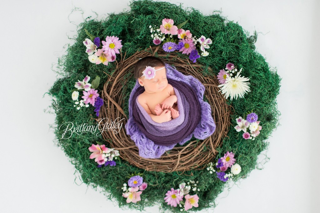 Newborn Baby | Fresh Floral | Wreath | Flowers | Baby Girl
