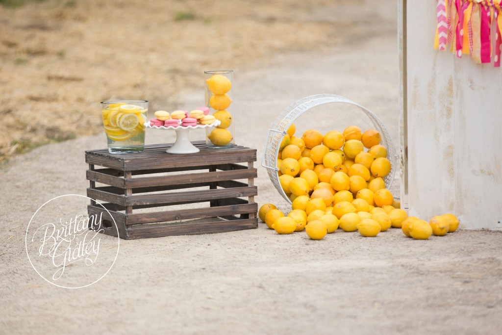 Juice Stand | Lemonade | Photo Shoot | Dream Sessions | Cleveland Ohio | Brittany Gidley Photography LLC