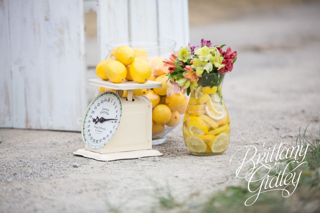 Juice Stand | Lemonade | Photo Shoot | Dream Sessions | Cleveland Ohio | Brittany Gidley Photography LLC
