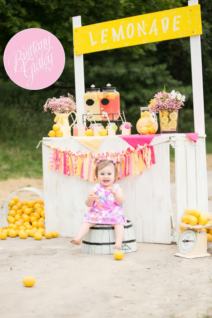 Juice Stand | Lemonade | Photo Shoot | Photography Inspiration | Dream Sessions | Cleveland Ohio | Brittany Gidley Photography LLC