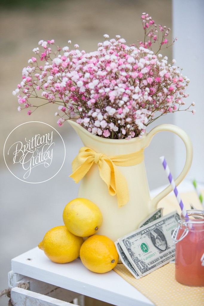 Lemonade | Photo Shoot | Photography Inspiration | Dream Sessions | Cleveland Ohio | Brittany Gidley Photography LLC
