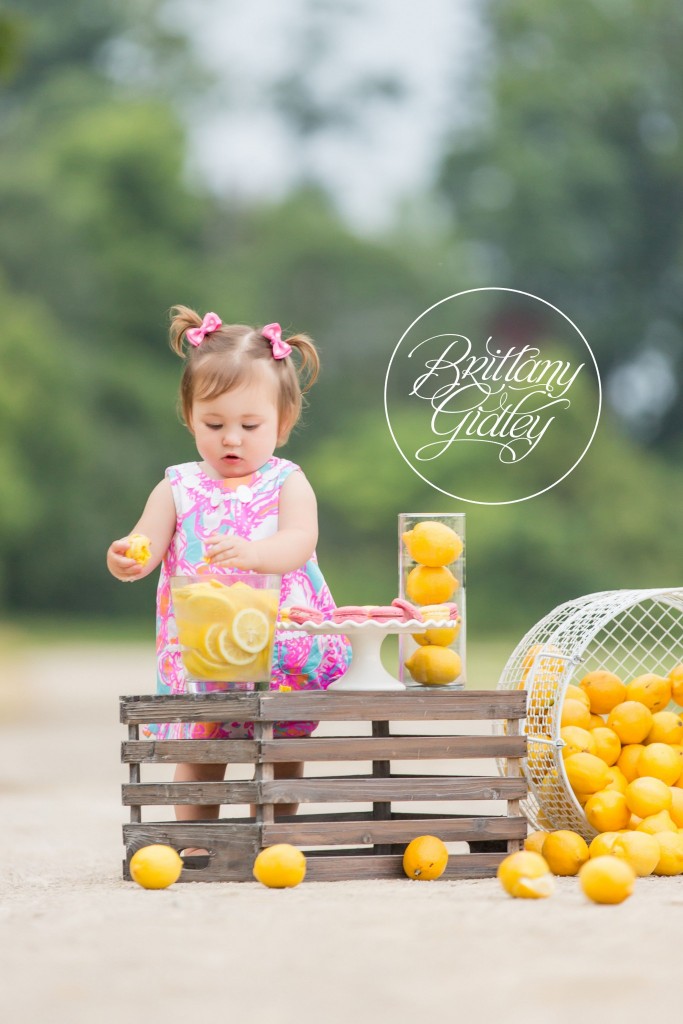 Lemonade Stand | Lilly Pulitzer | Lemonade Dream Session| Photo Shoot | Photography Inspiration | Dream Sessions | Cleveland Ohio | Brittany Gidley Photography LLC