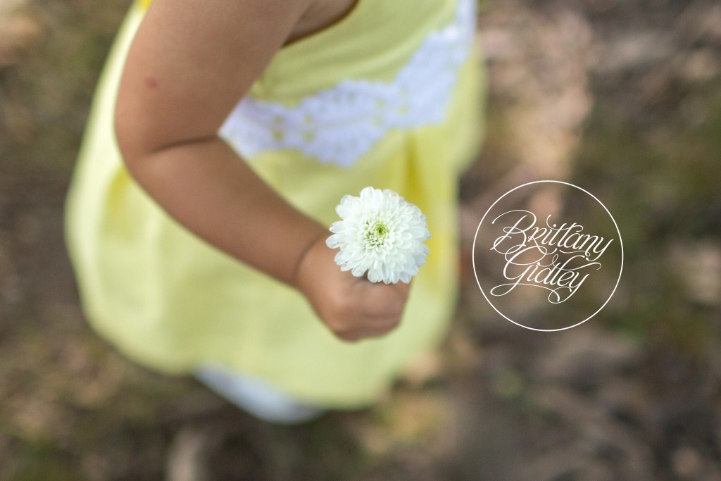 Photo Shoot | Shaker Heights, Ohio | Family | Child Photographer
