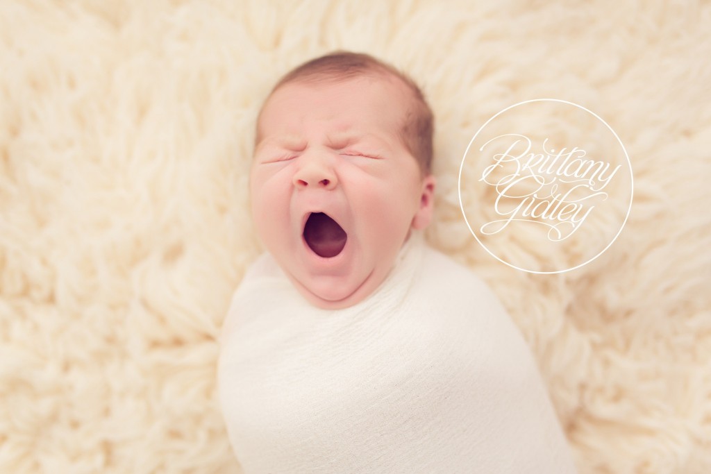 Newborn Baby Photographer | Newborn Baby Photography | Brittany Gidley Photography LLC