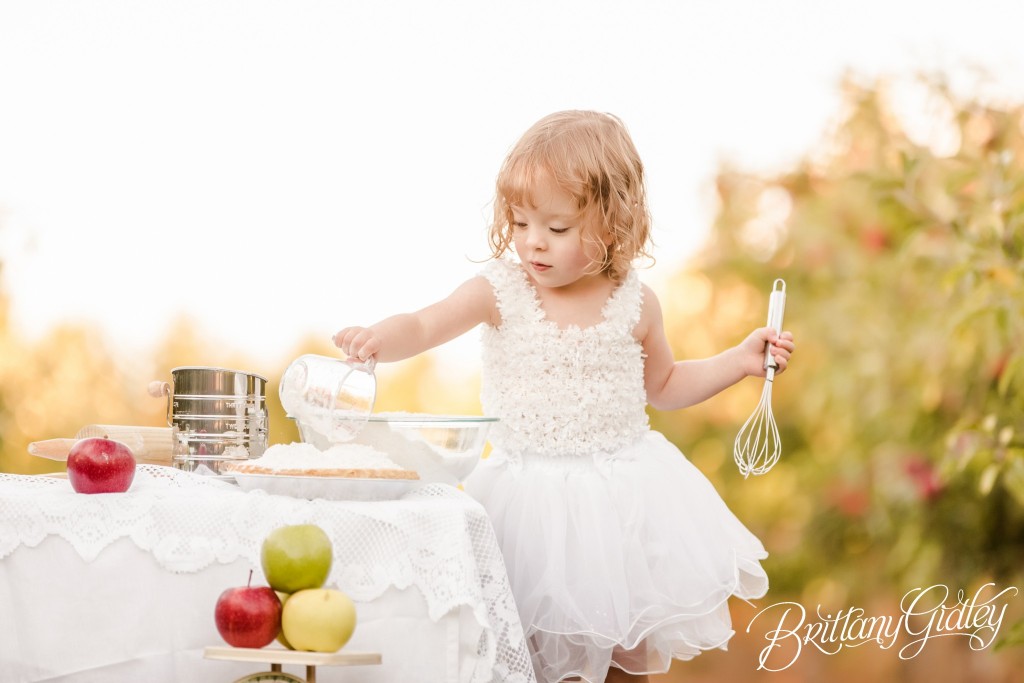 Baking Dream Session | Apple Pie | Apple Orchard | Baking | Easy As Pie