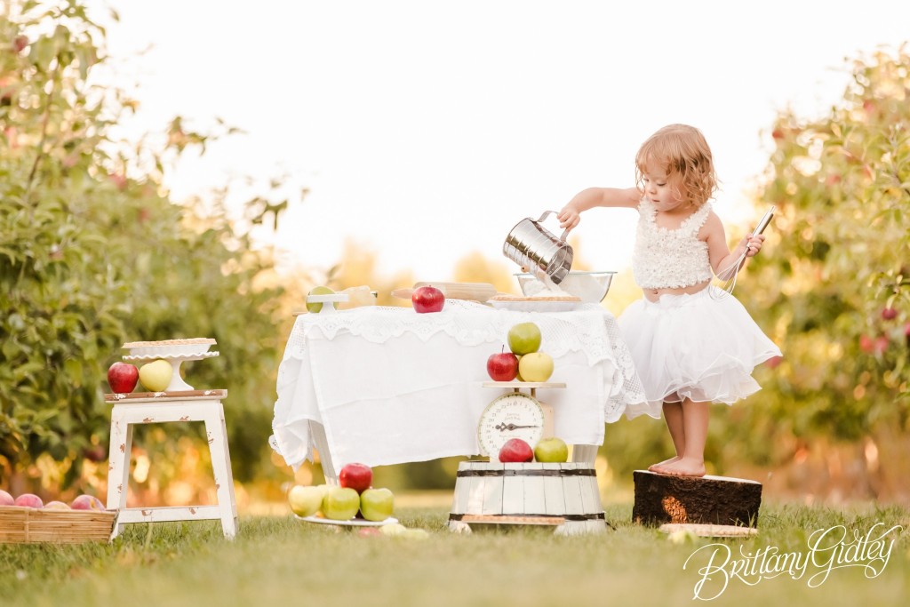 Baking Dream Session | Apple Pie | Apple Orchard | Baking | Easy As Pie