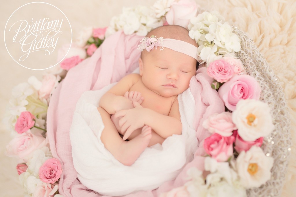 Cleveland Newborn Photographer | Newborn Photography | Cleveland, Ohio | Start With The Best | Brittany Gidley Photography LLC