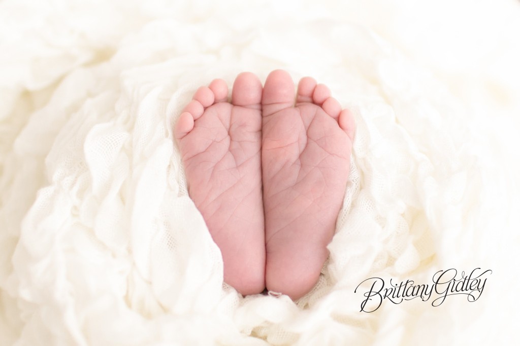 Baby Photographer Cleveland | Cleveland Baby Photography | Start With The Best | Brittany Gidley Photography LLC