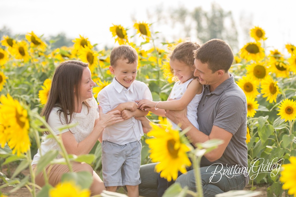 Sunflower Dream Session | Prayers From Maria | Family Photography | Cleveland Ohio