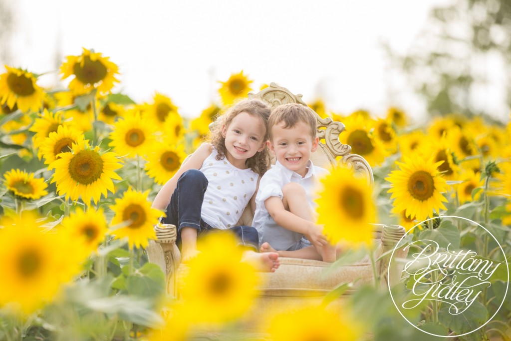Sunflower Dream Session | Prayers From Maria | Family Photography | Cleveland Ohio