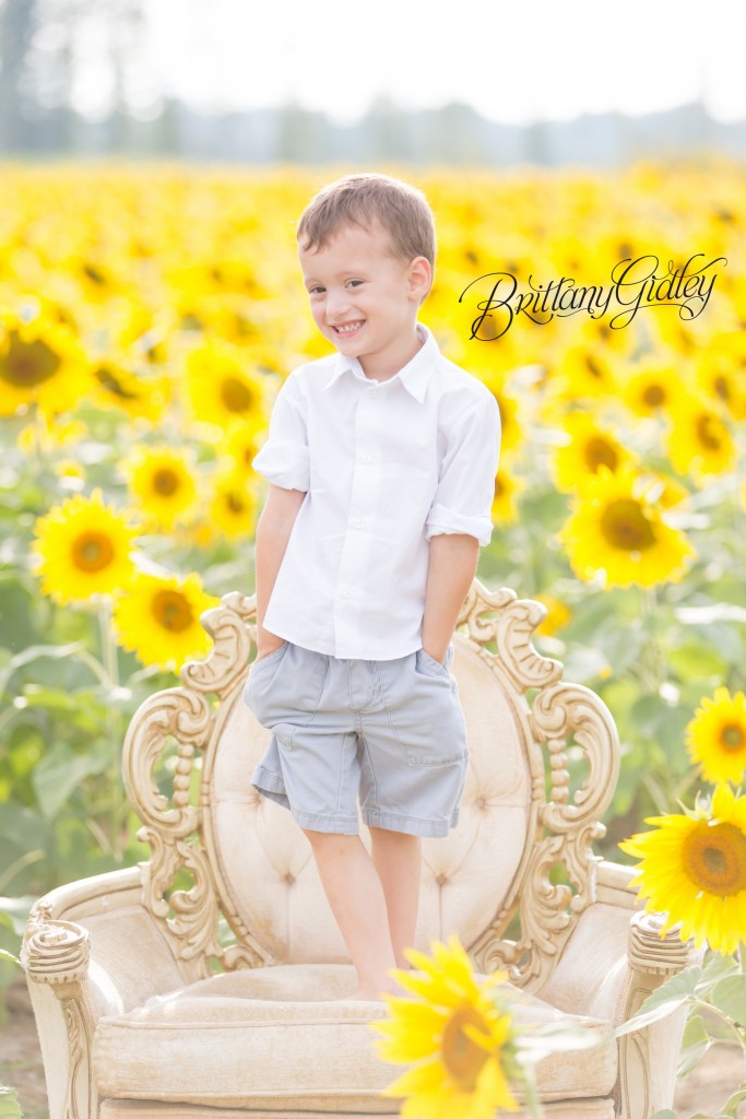 Fall Photo Shoot | Brittany Gidley Photography LLC | Sunflowers 