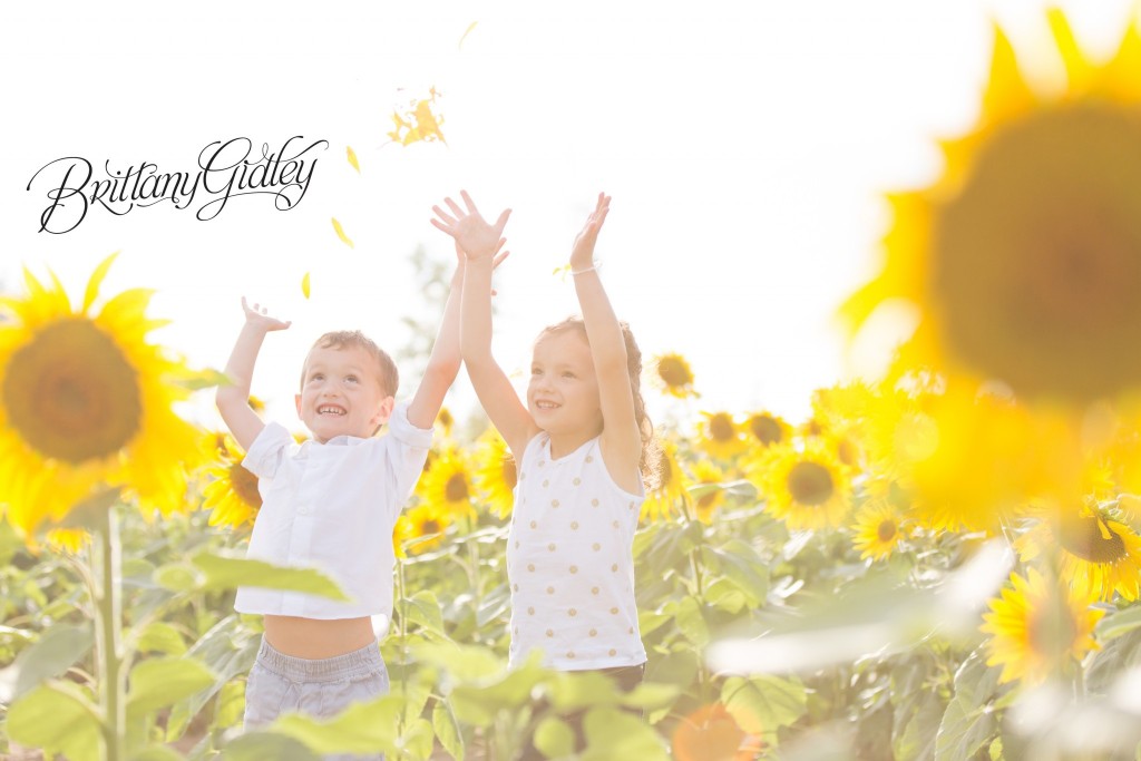 Flower Photo Shoot | Brittany Gidley Photography LLC | Sunflowers | Twins
