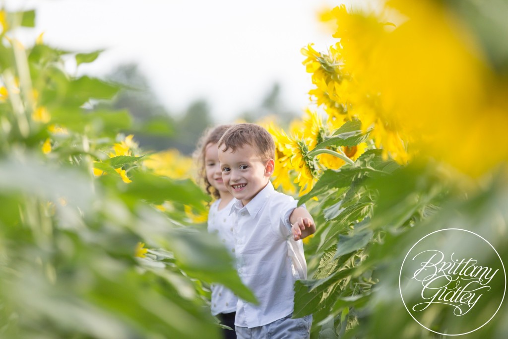 Flower Photo Shoot | Brittany Gidley Photography LLC | Sunflowers | Twins | Prayers From Maria