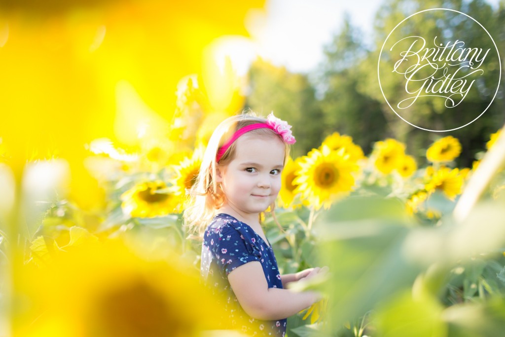 Prayers From Maria Sunflower Field | Butterflies | Cleveland, Ohio | Avon, Ohio | Photographer
