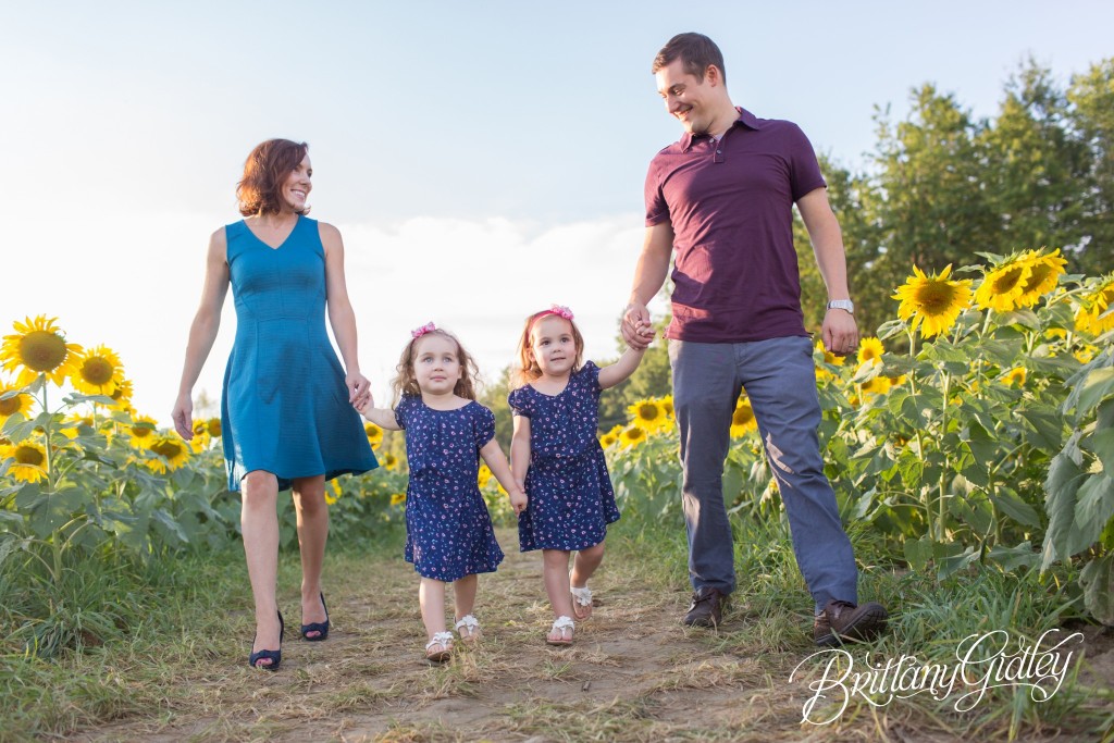 Photo Shoot | Sunflower Field | Butterflies | Cleveland, Ohio | Avon, Ohio | Photographer | Family