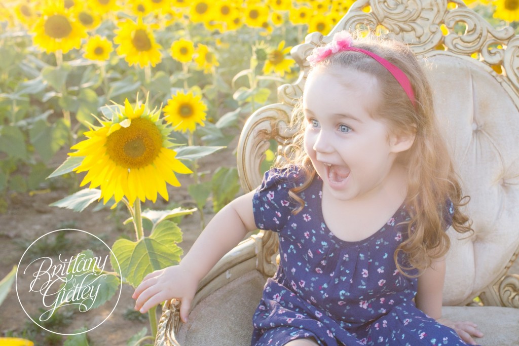 Photo Shoot | Sunflower Field | Butterflies | Cleveland, Ohio | Avon, Ohio | Photographer | Family