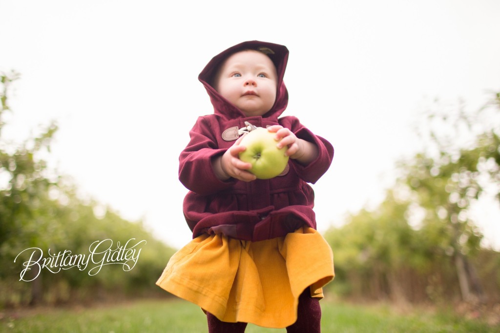 Apple Orchard Cleveland Ohio | Photo Shoot | 12 Month Baby
