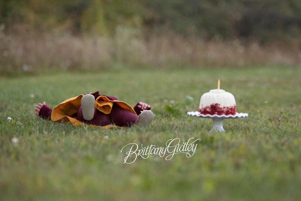 Cake Smash Fail | Cleveland Ohio | Photo Shoot | 12 Month Baby