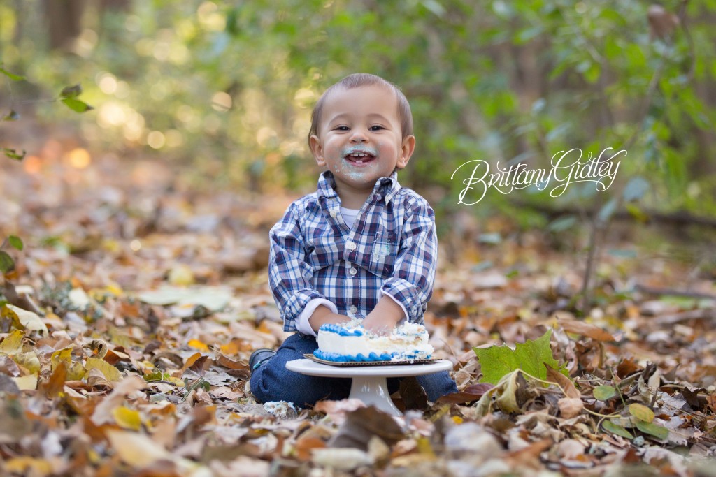 Fall Cake Smash
