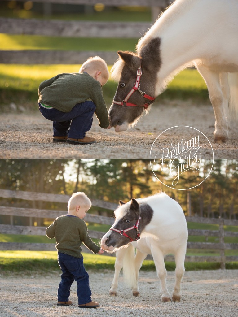 Cleveland Pony Photo Shoot | Child Photography | Child Photographer | Horse | Equine | Pony Party