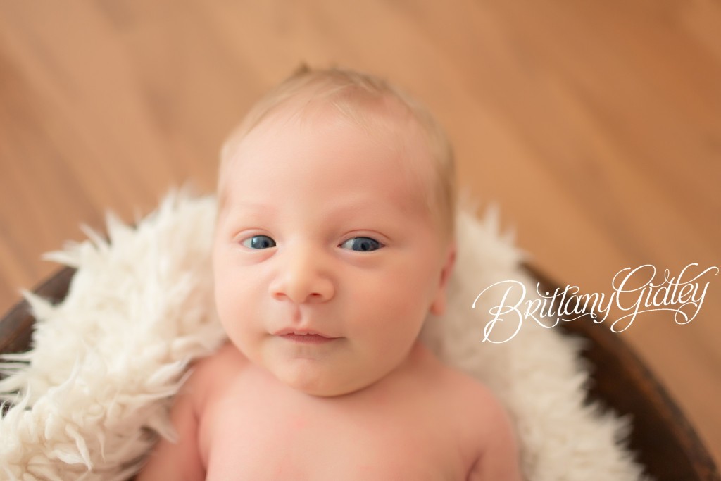 Newborn Baby Portraits