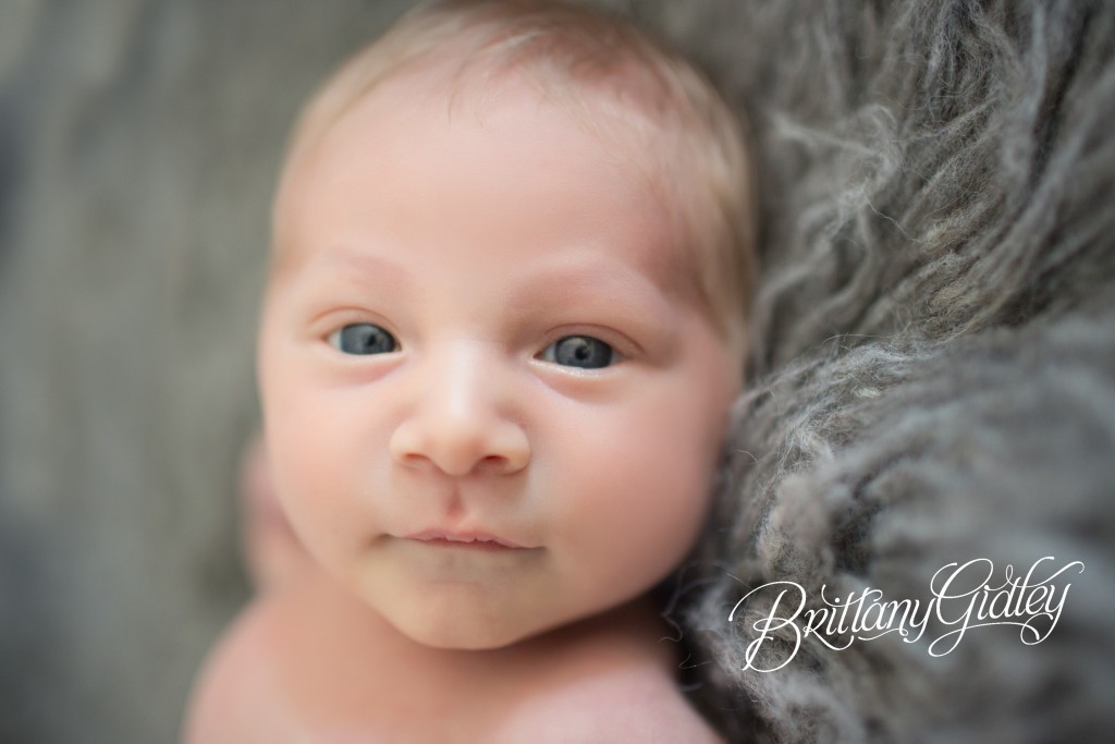 Newborn Baby Portraits