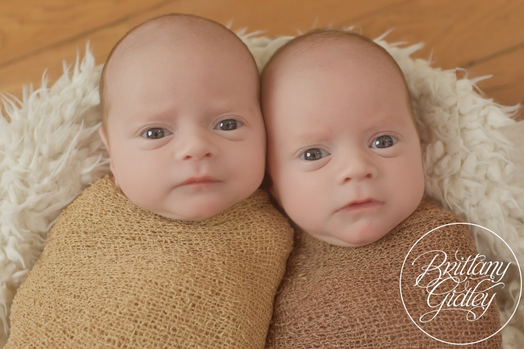 Twin Newborns | Brown | Newborn Inspiration | Newborn Photo Shoot | Twins | Cleveland