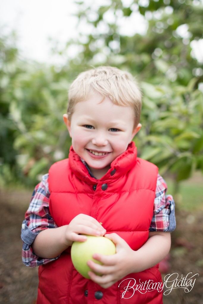 Cleveland Ohio | Photo Shoot | 12 Month Baby | Apple Orchard | Siblings | Big Brother