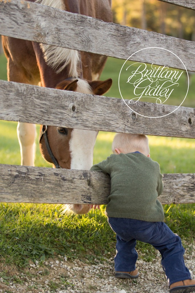 Cleveland Horse Photo Shoot | Child Photography | Child Photographer | Horse | Equine | Pony Party