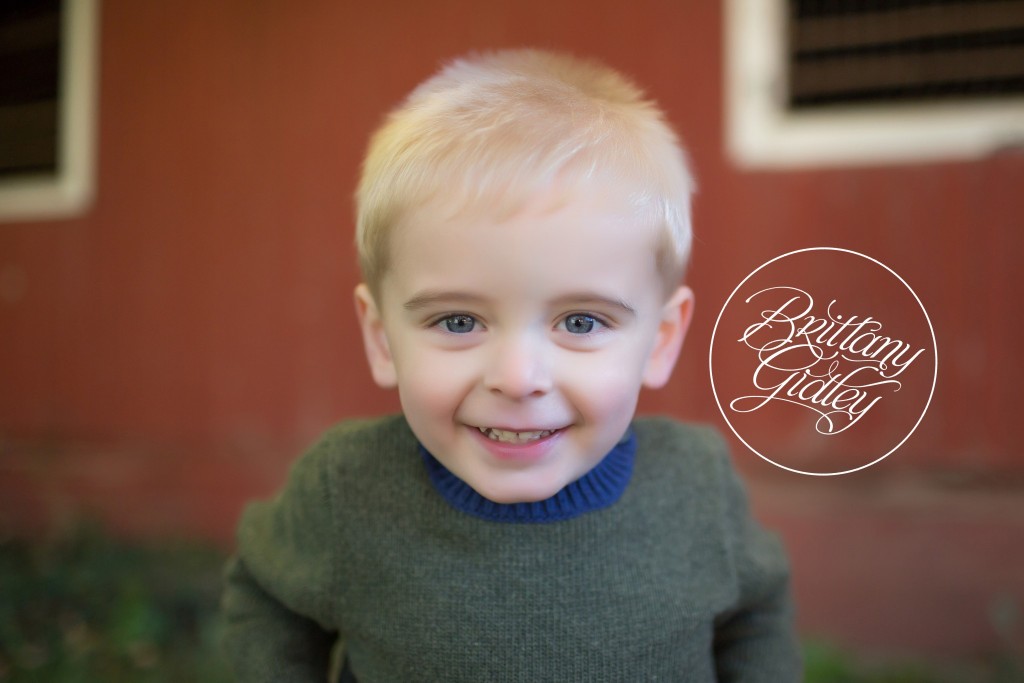Cleveland Pony Photography | Child Photography | Child Photographer | Horse | Equine | Pony Party