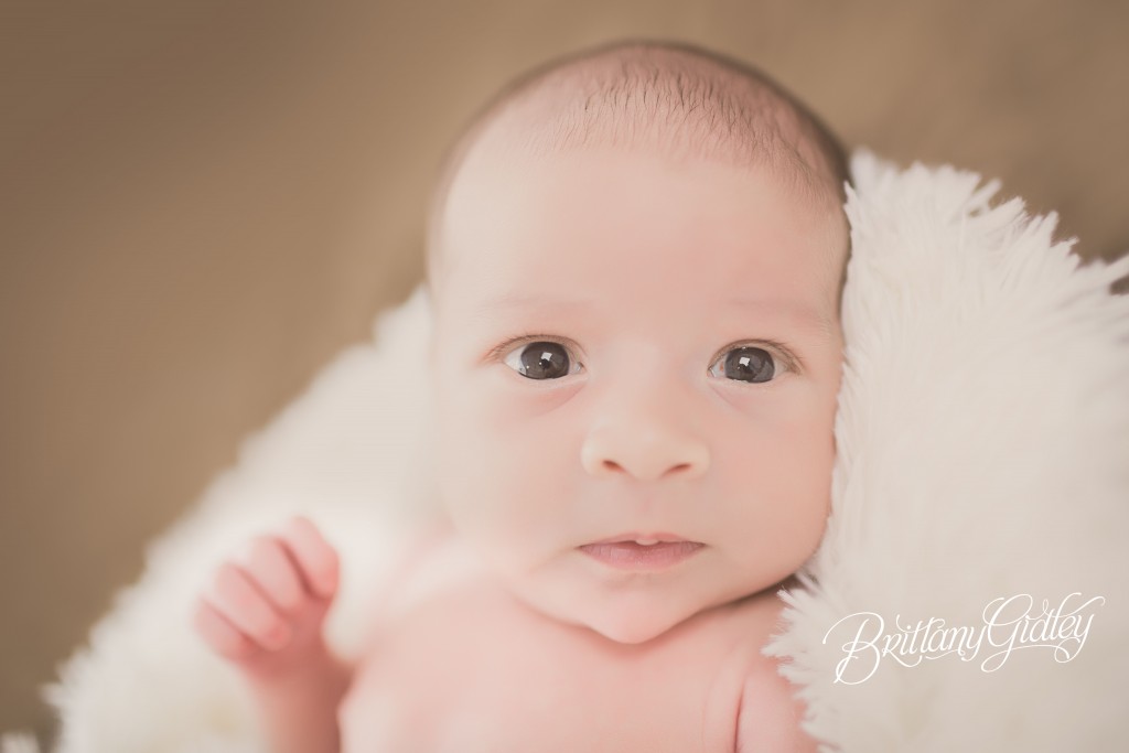 Newborn Photography Classic Style | Cleveland Photographer | Newborn Photographer