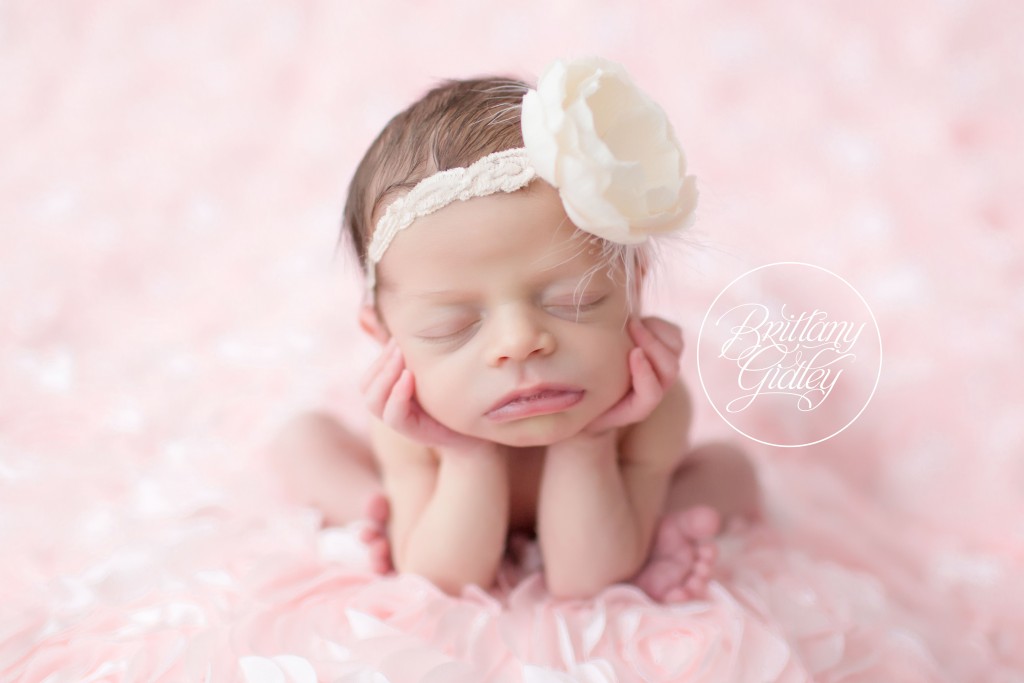 Cleveland Newborn Photographer