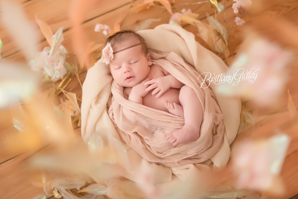 Newborn Photographer Cleveland