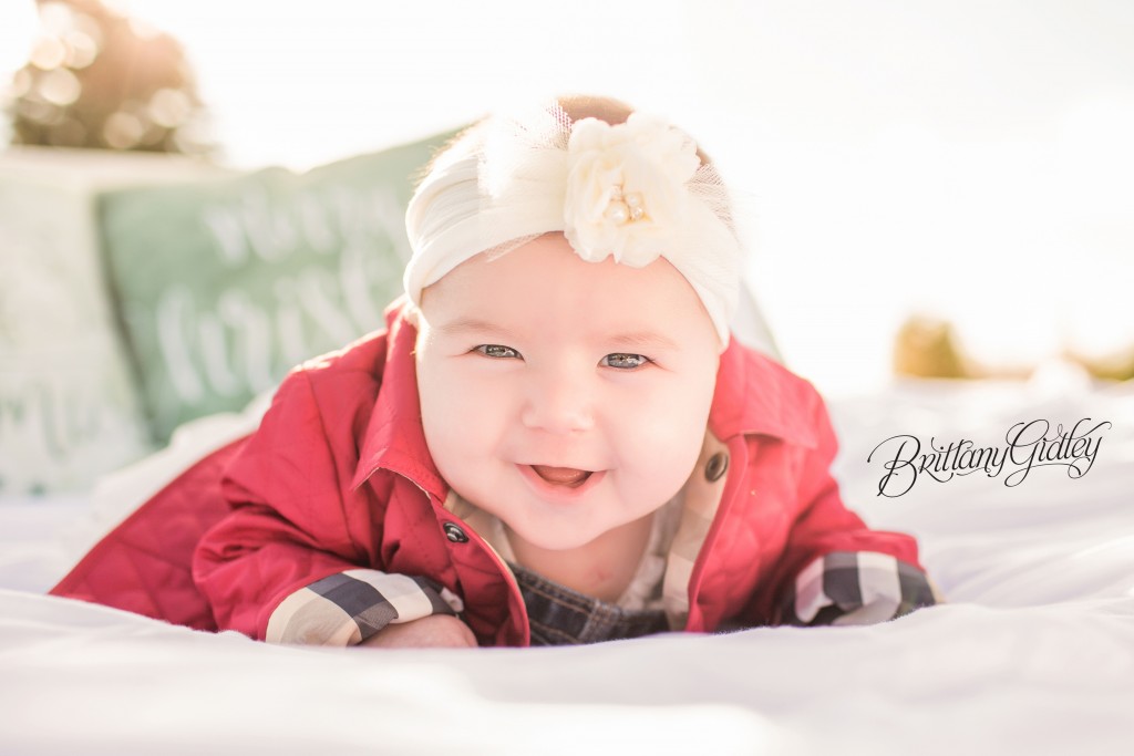 Tree Farm Dream Mini Sessions-10