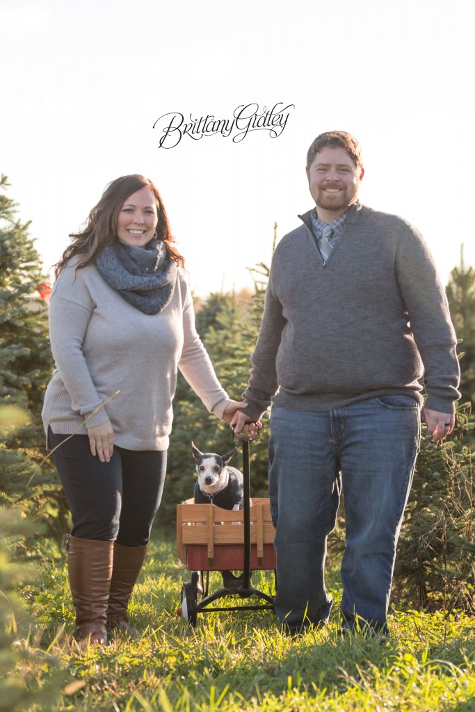 Tree Farm Dream Mini Sessions-1