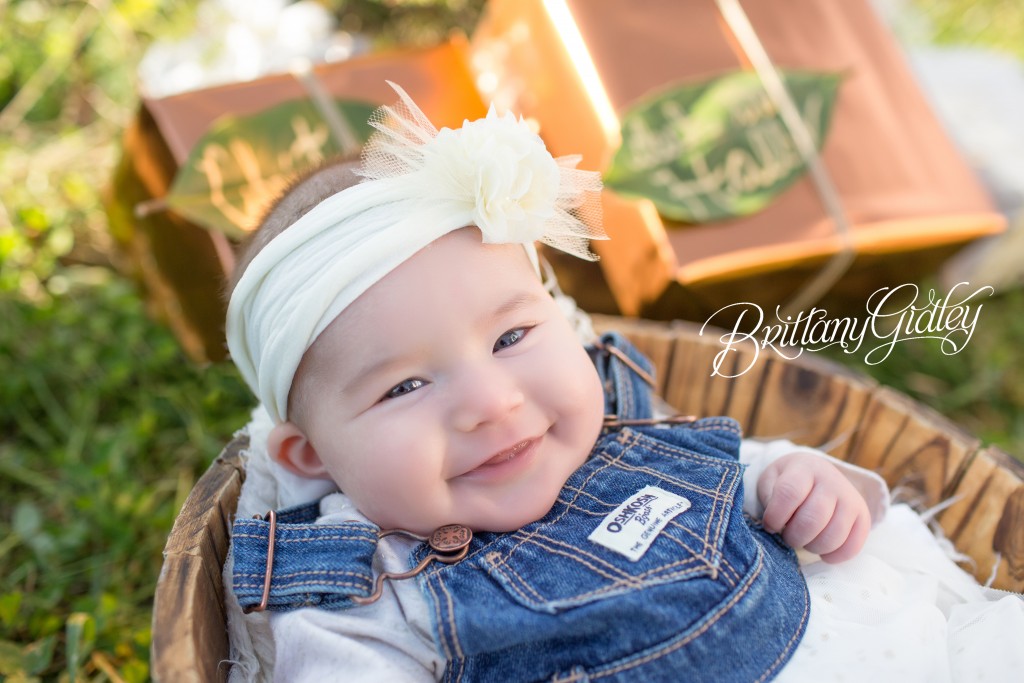Tree Farm Dream Mini Sessions-11