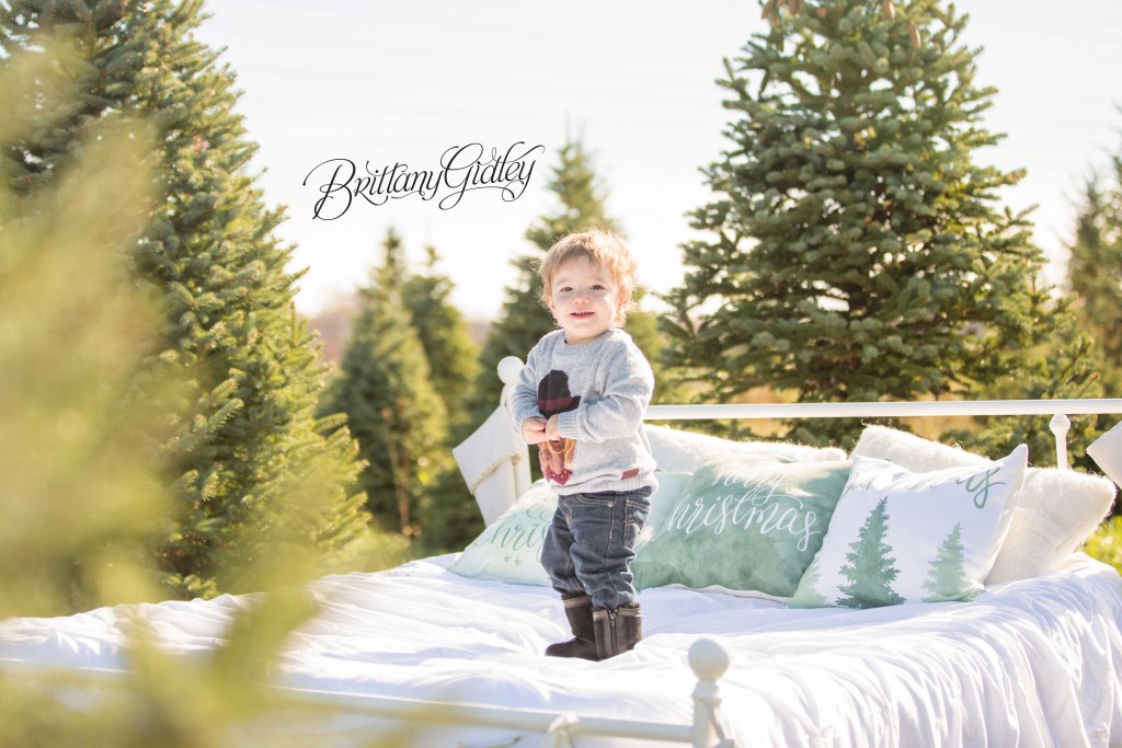 Tree Farm Dream Mini Sessions-13
