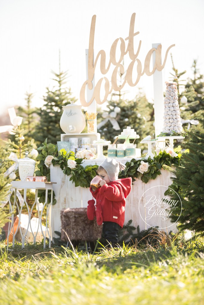 Tree Farm Dream Mini Sessions-14