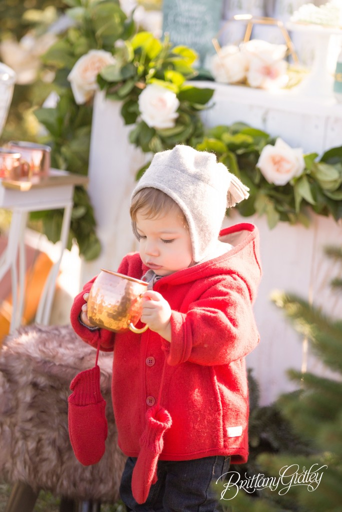 Tree Farm Dream Mini Sessions-15