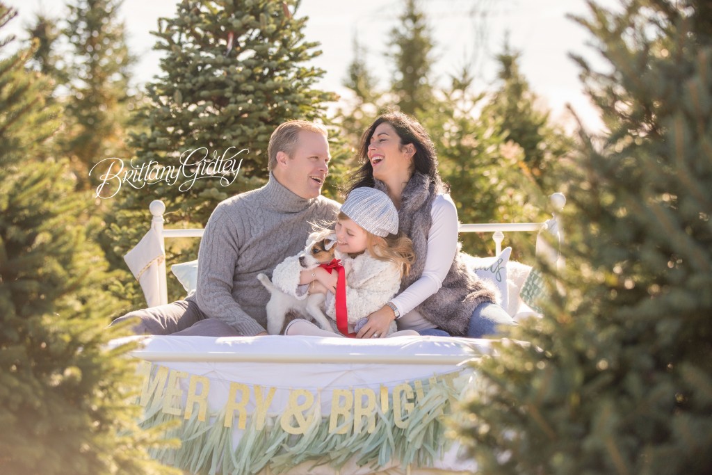 Tree Farm Dream Mini Sessions-17