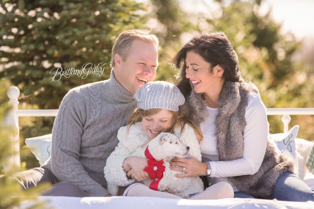 Tree Farm Dream Mini Sessions-18