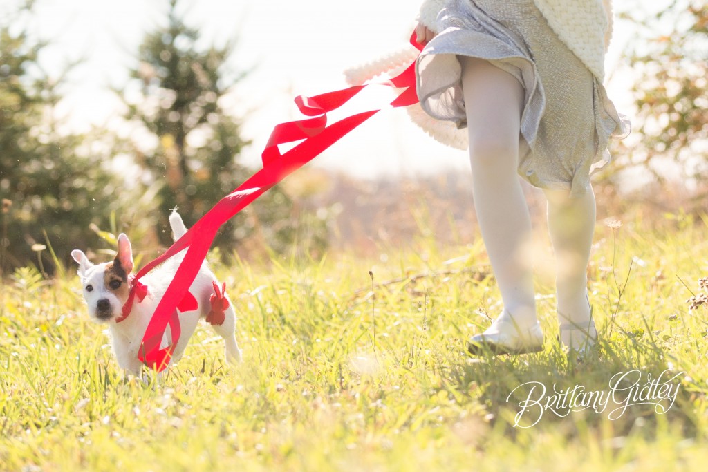 Tree Farm Dream Mini Sessions-20