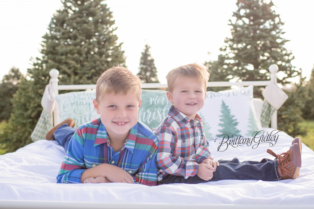 Tree Farm Dream Mini Sessions-2