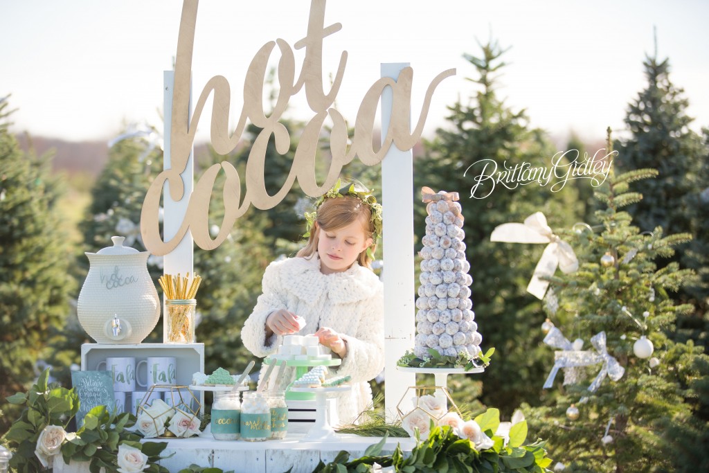 Tree Farm Dream Mini Sessions-23